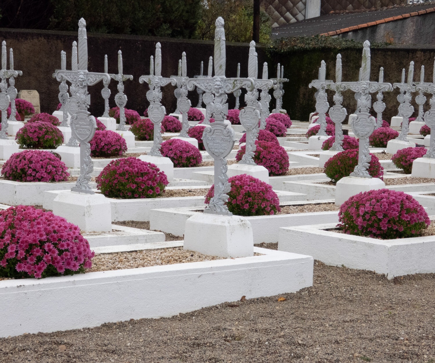 1 NOVEMBRE 2025 la roche sur yon